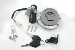 2-70365-72f2f5a20e70abd8 CF MOTO 250NK KILIT SETI - Görsel 1